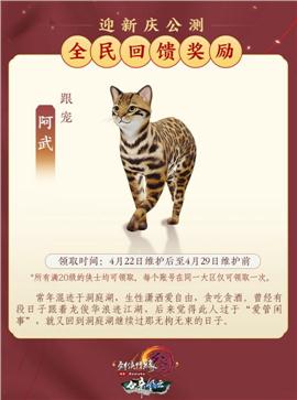 天龙八部私服 通通通